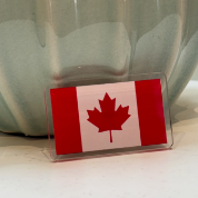 Samuel Davidson - Edmonton