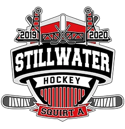 Analyze Hockey Pin Prototypes